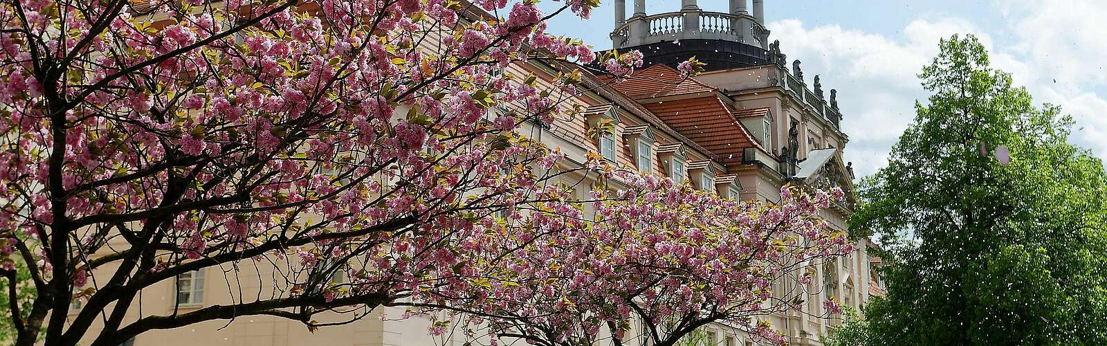 Großes Militärwaisenhaus Potsdam