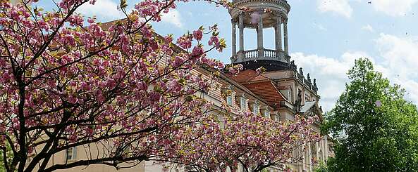 Großes Militärwaisenhaus Potsdam